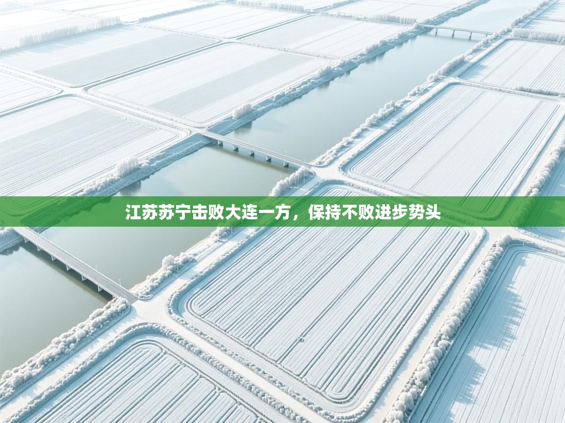 江苏苏宁击败大连一方,保持不败进步势头 第1张