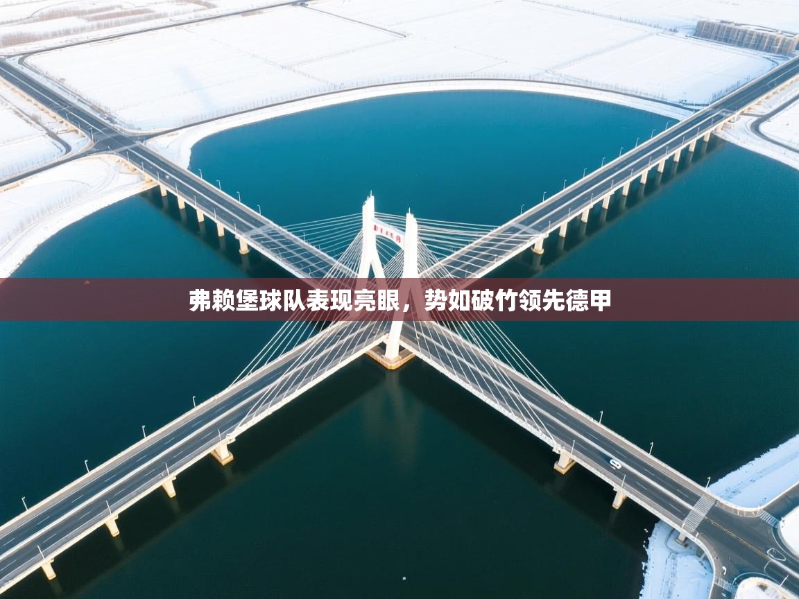 弗赖堡球队表现亮眼，势如破竹领先德甲  第2张