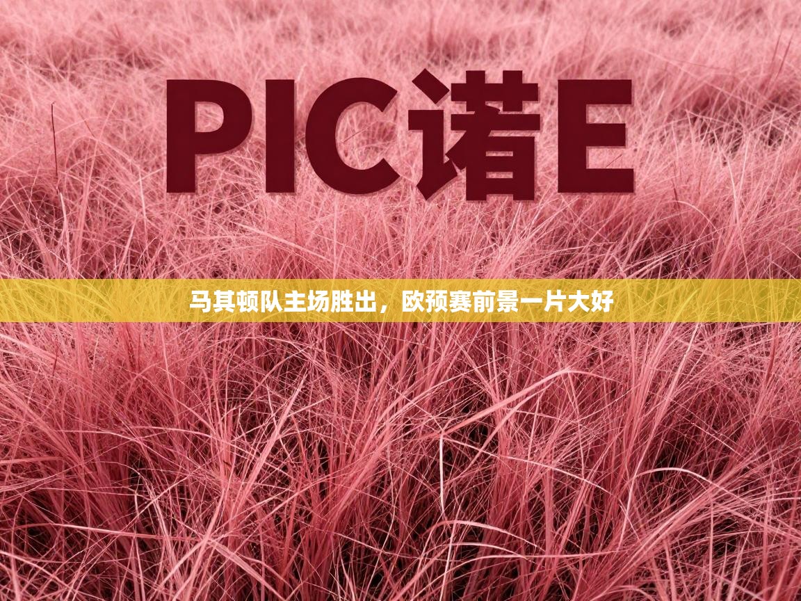 马其顿队主场胜出，欧预赛前景一片大好  第1张